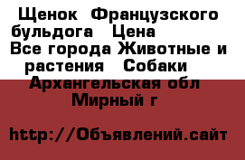 Щенок  Французского бульдога › Цена ­ 35 000 - Все города Животные и растения » Собаки   . Архангельская обл.,Мирный г.